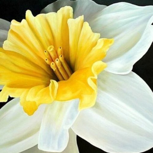 Картины в Пионерском